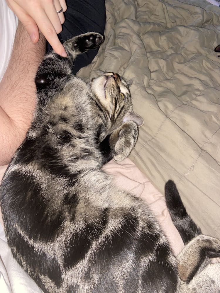 352045214_202850718964481_4474137030163509426_n