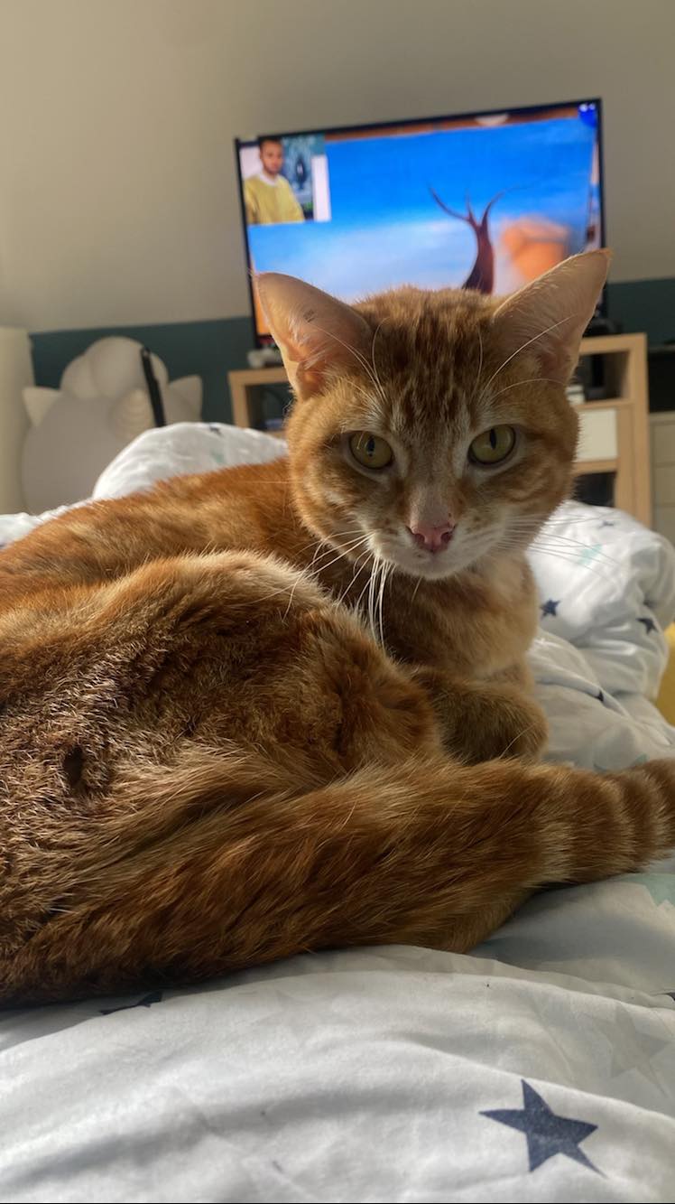 352185504_808303114002168_4347525050906787966_n