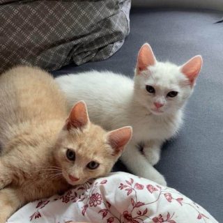 Photo de Jacques et Jeannette