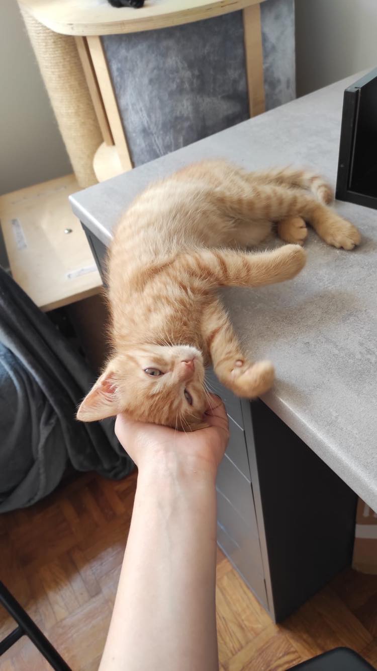 355806215_783191566920757_7677981607862320738_n