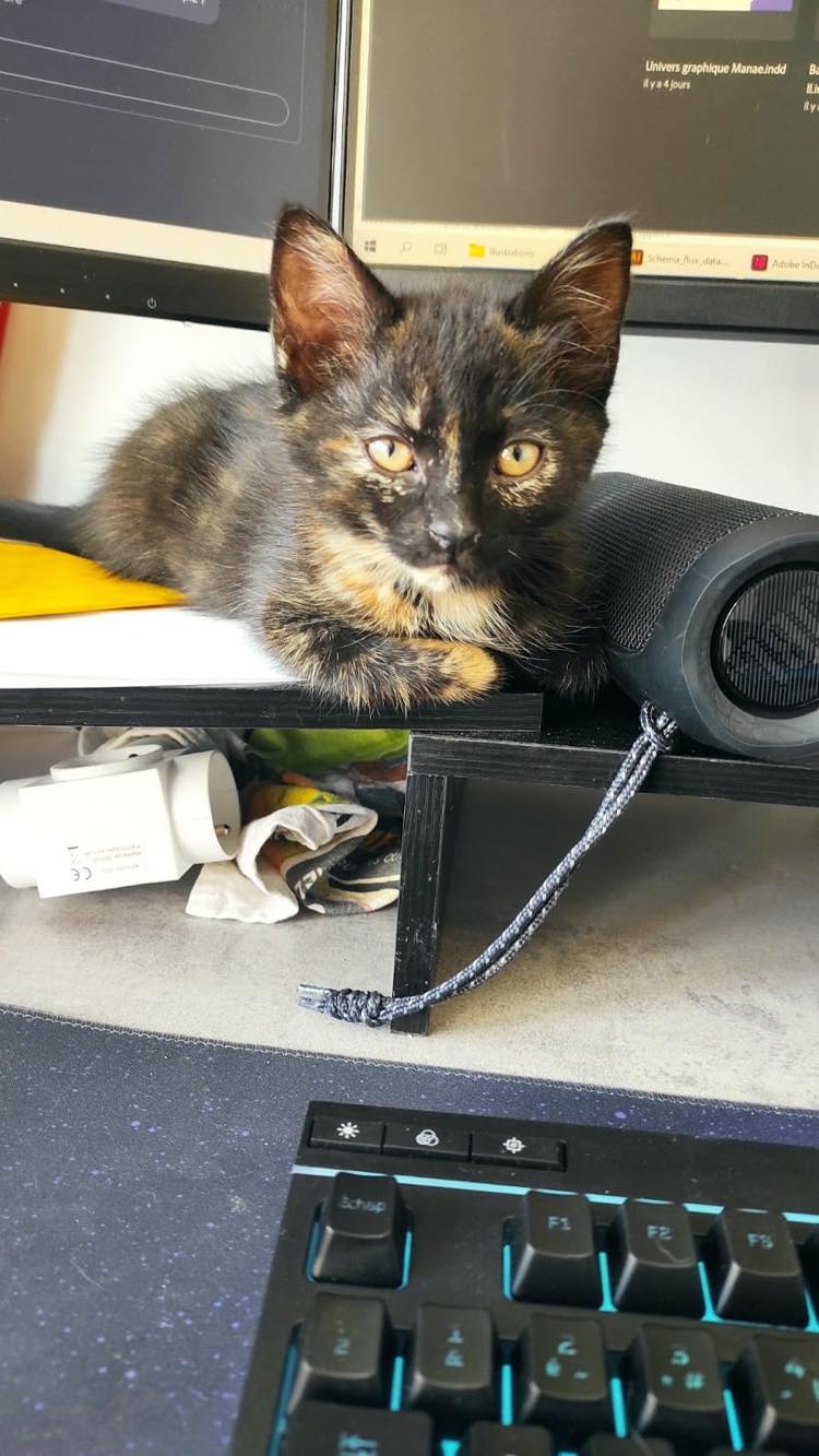 355806605_812158533611508_2247371343543061468_n