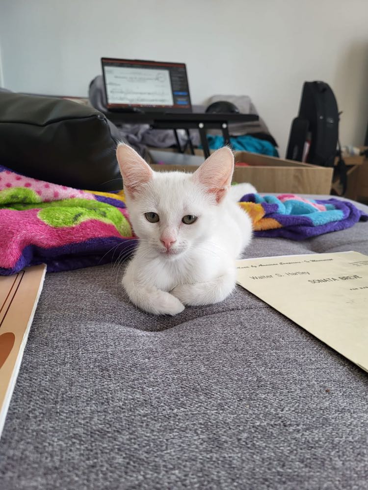 356032231_1006425370545753_8644537456863833414_n