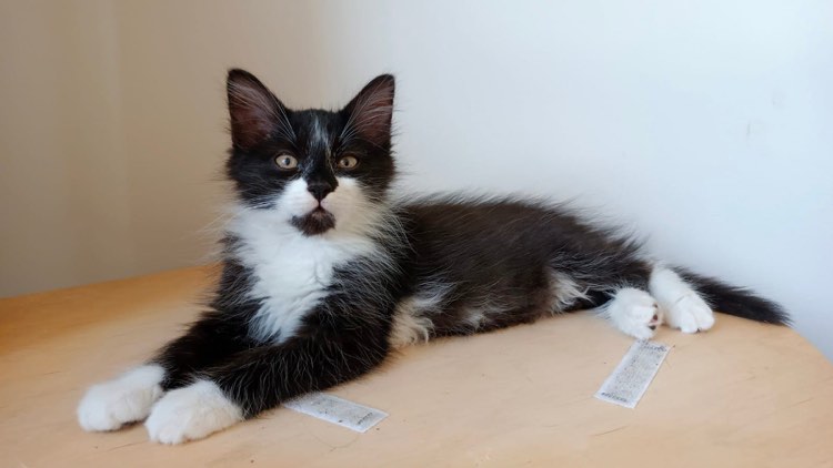 356138533_1496299361130702_4401549980751015056_n