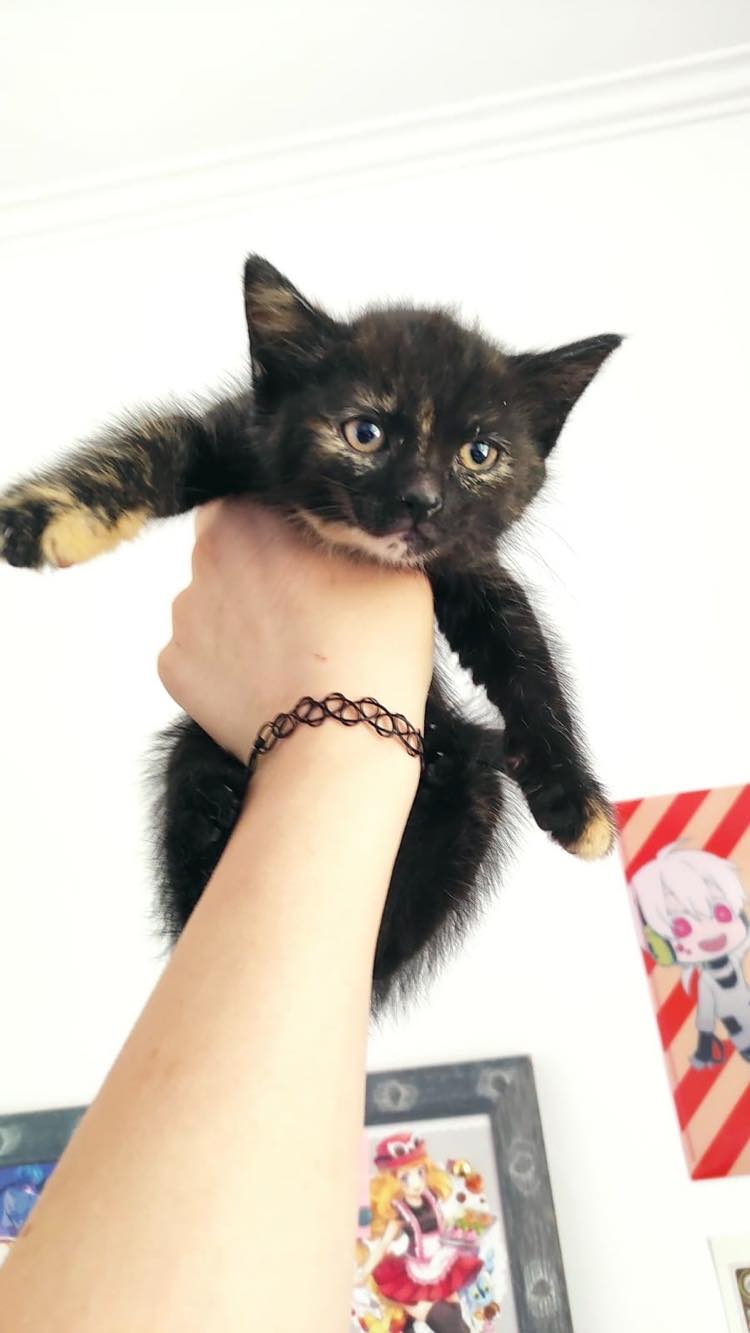 356188724_292453849836338_4544676989382198903_n