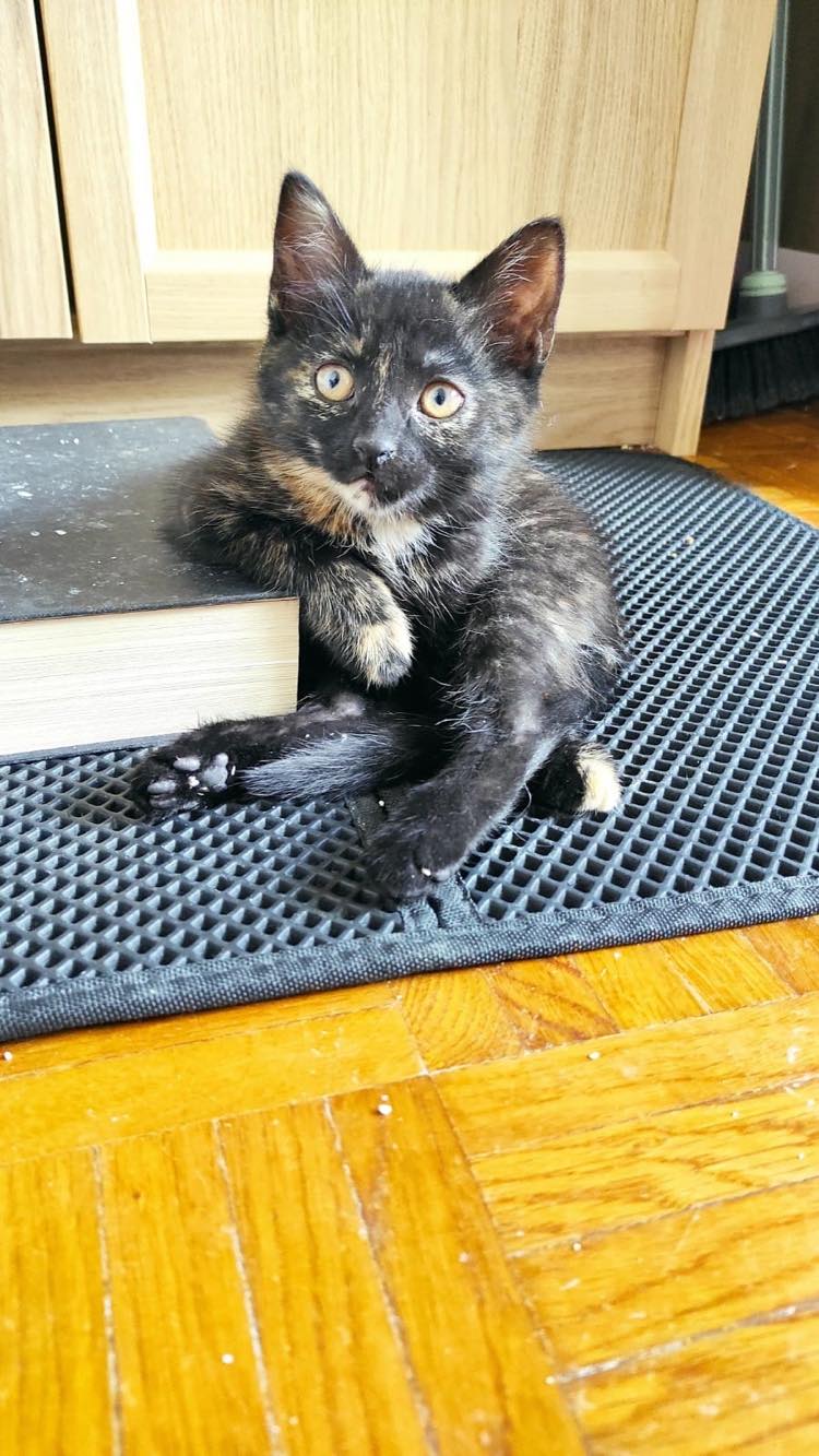 356286004_1327564314511776_4044331864196543011_n