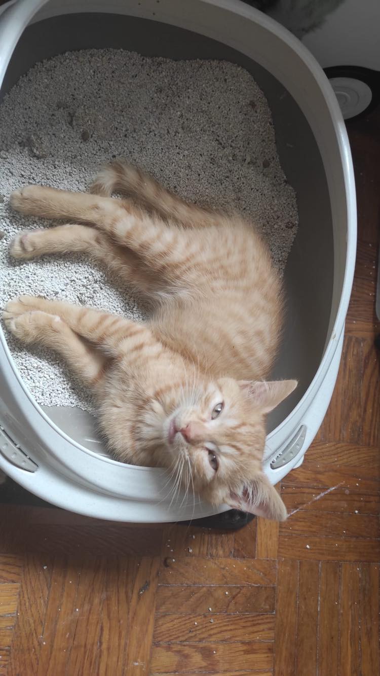 356353073_3583761581913518_8949549886210829020_n