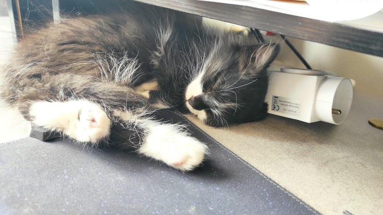 356546128_1389367001629194_4800306921270331590_n