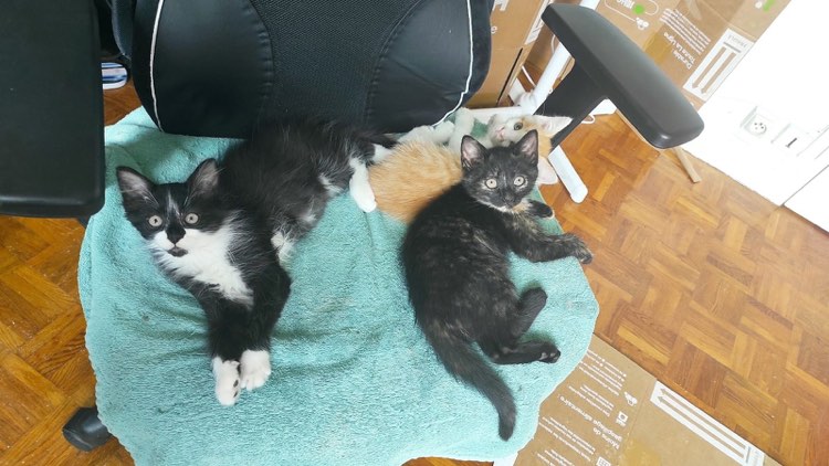 356973331_6584504174904764_2883659825703160294_n