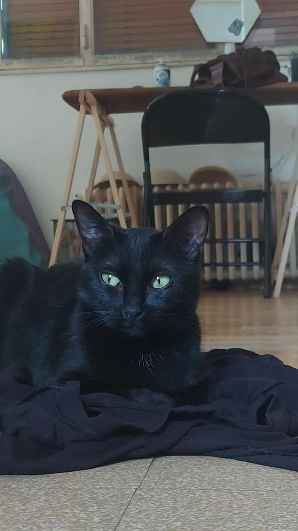 357300246_823811195618118_7110780446828174195_n