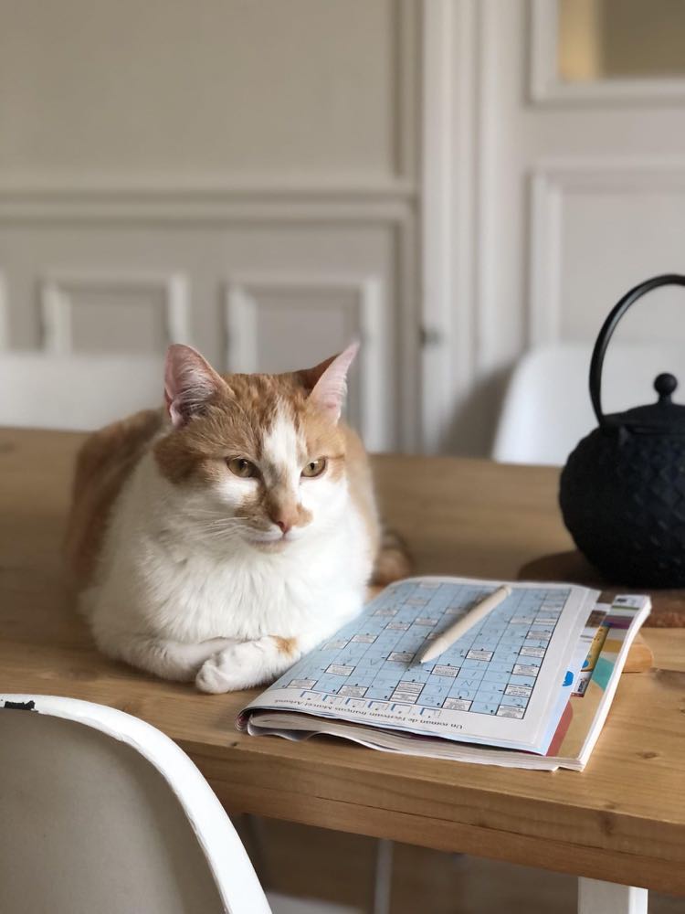 358783029_691945556101506_7427000025903631617_n