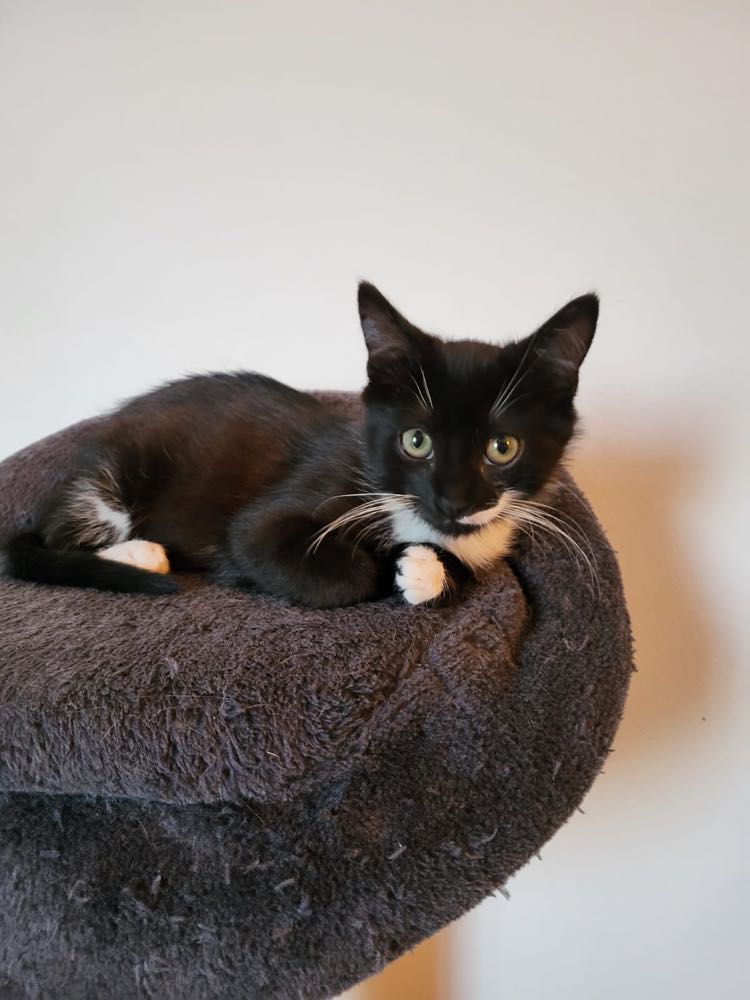 358806863_962310858372506_8006686713965588460_n