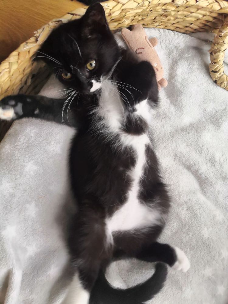 358891966_766064135270997_2350304453763898776_n