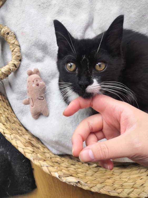 359654118_244341718494399_7874194320900549059_n