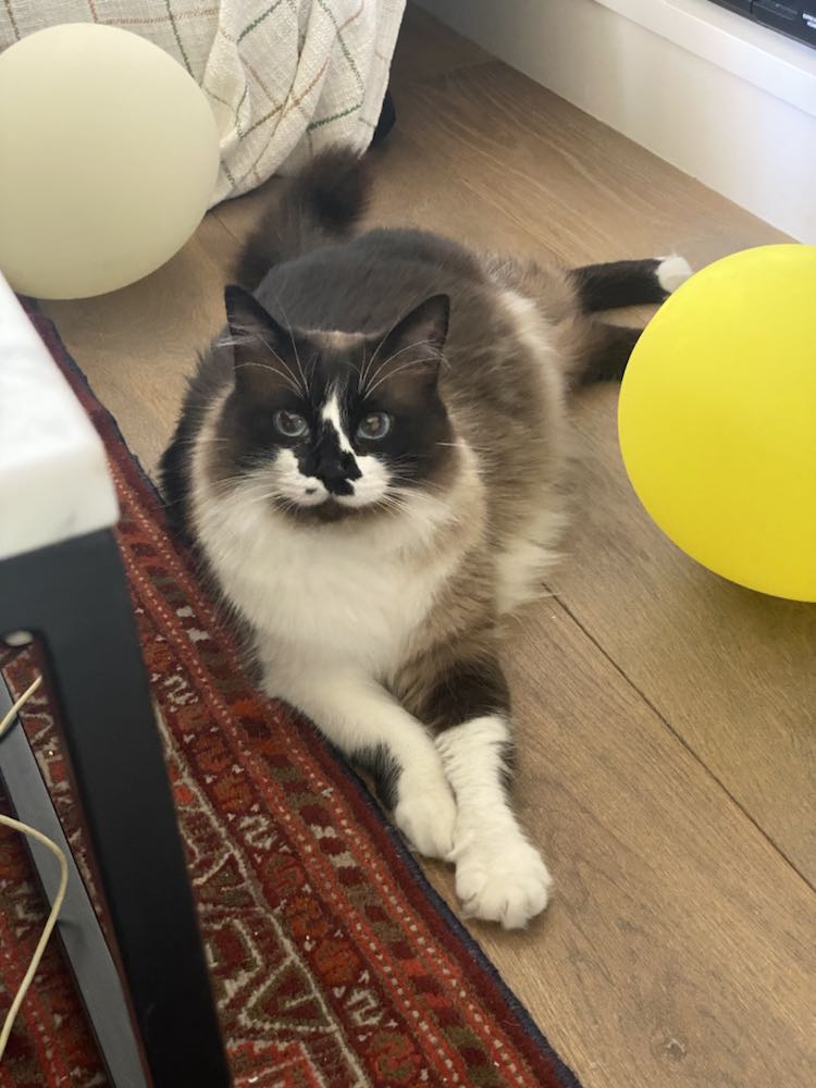 363485444_9768945346514132_3564216961712424739_n