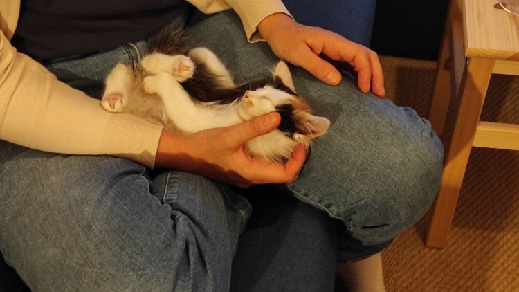 363515326_661004906087323_3971284470049289880_n