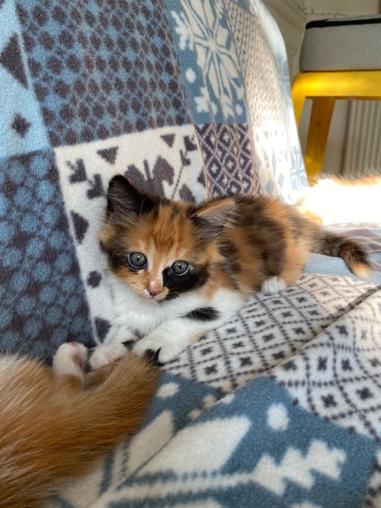 363537322_264124753237342_9010823360210884708_n