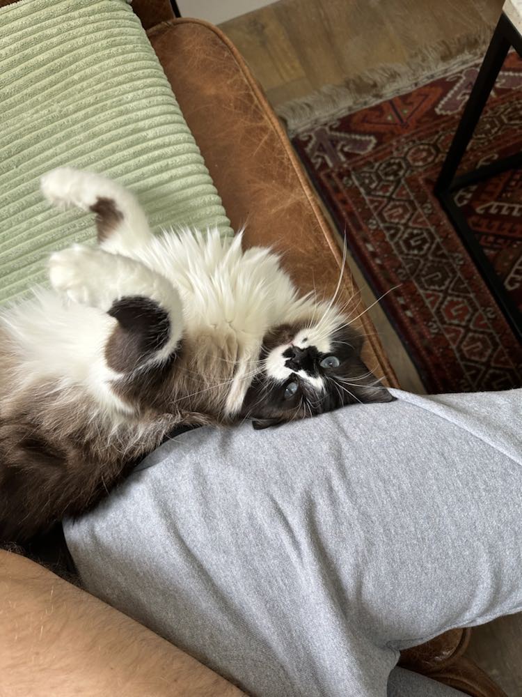 363817561_1274299286787052_7472223196089760388_n