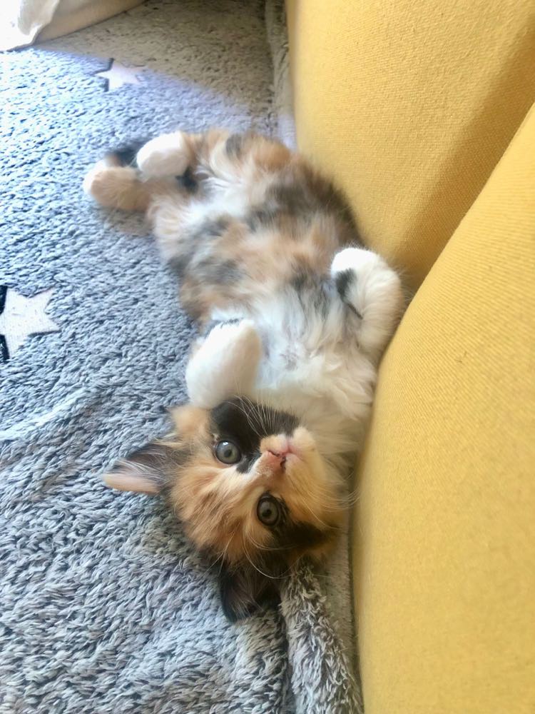 363897393_965030691377032_2430970136520436544_n