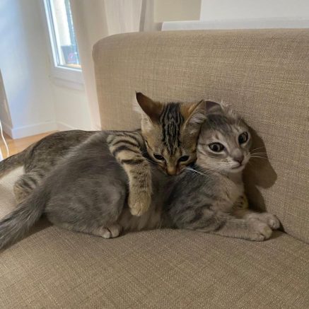 Photo de Ulio & Uana