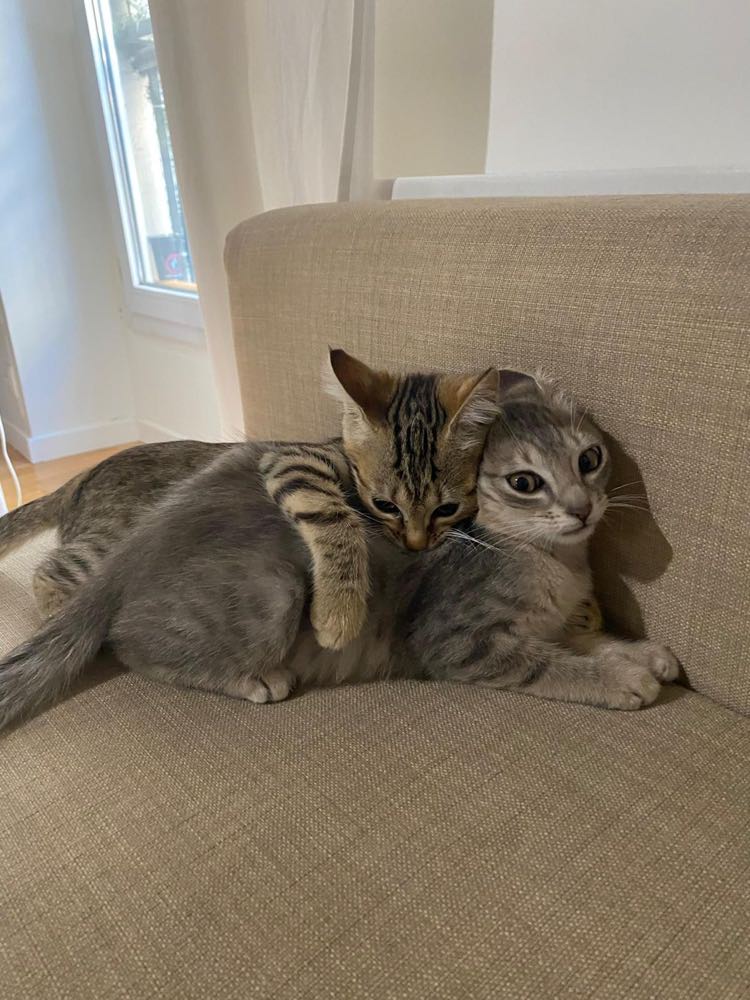 364222539_1093523754961357_2806518832764213224_n