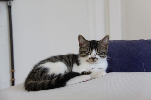 364264795_668663461504119_6615317323525887764_n