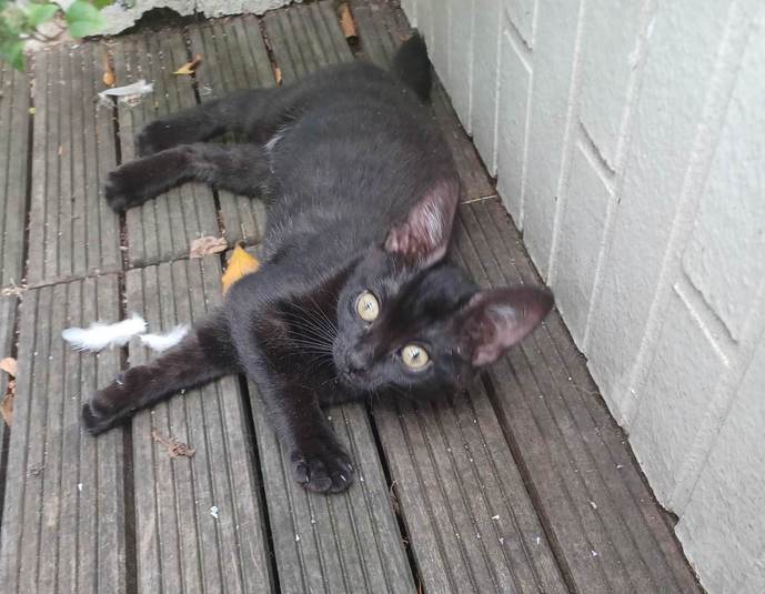 364383514_267178569390729_568614958819551223_n-1-ConvertImage