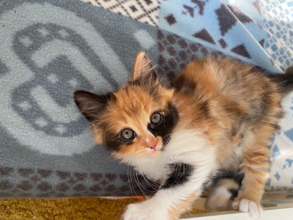 364424850_185659114402276_1736720605131865733_n