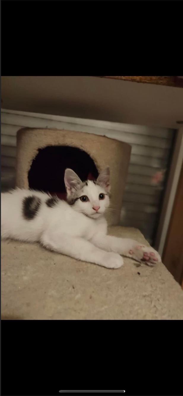 366347590_220465884329755_6630696285085462495_n