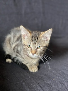 367329998_330968149574509_7977785267279116161_n