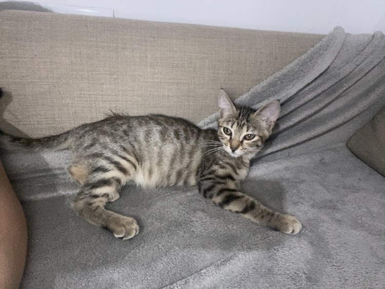 367768109_816091870166501_2779210601544617068_n