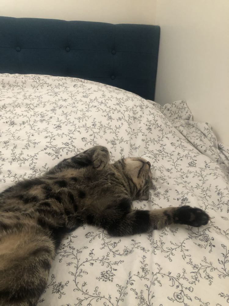 367814678_306476711782561_8134994599233126920_n