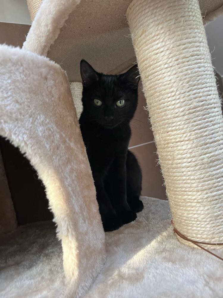 368395660_345970478002343_6525030190381985495_n