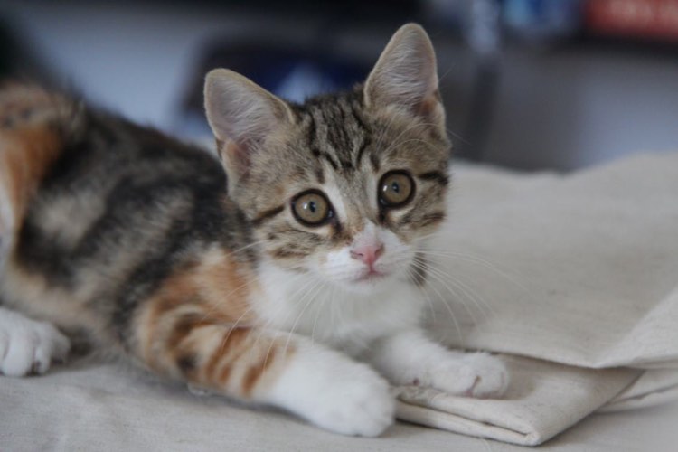 368409640_967370377693281_312761345182797966_n