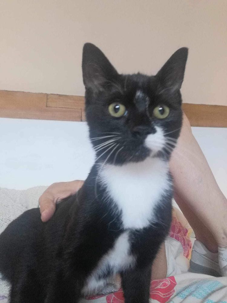 368891412_1444795762969918_6261623431161295780_n