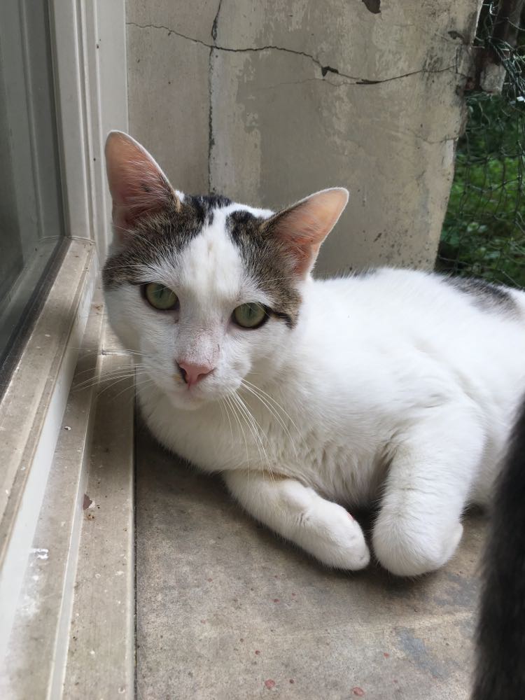 368957599_667775705440739_7069515022249519910_n