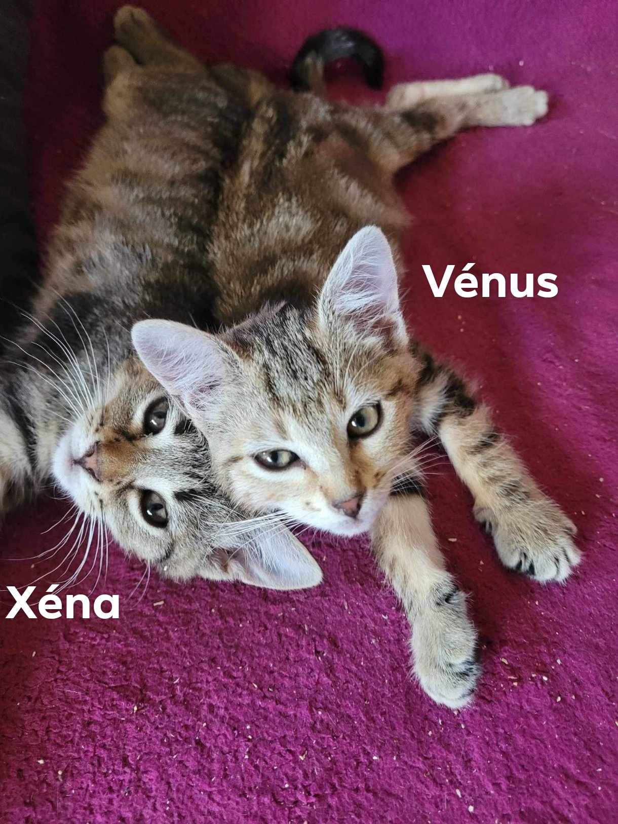 369047504_1276081433080121_4204136936625898202_n