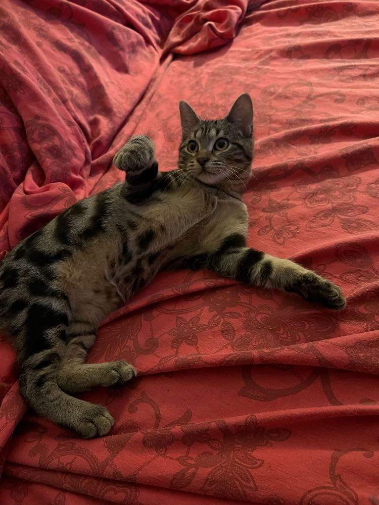 369049810_716048547076950_855010864487532178_n