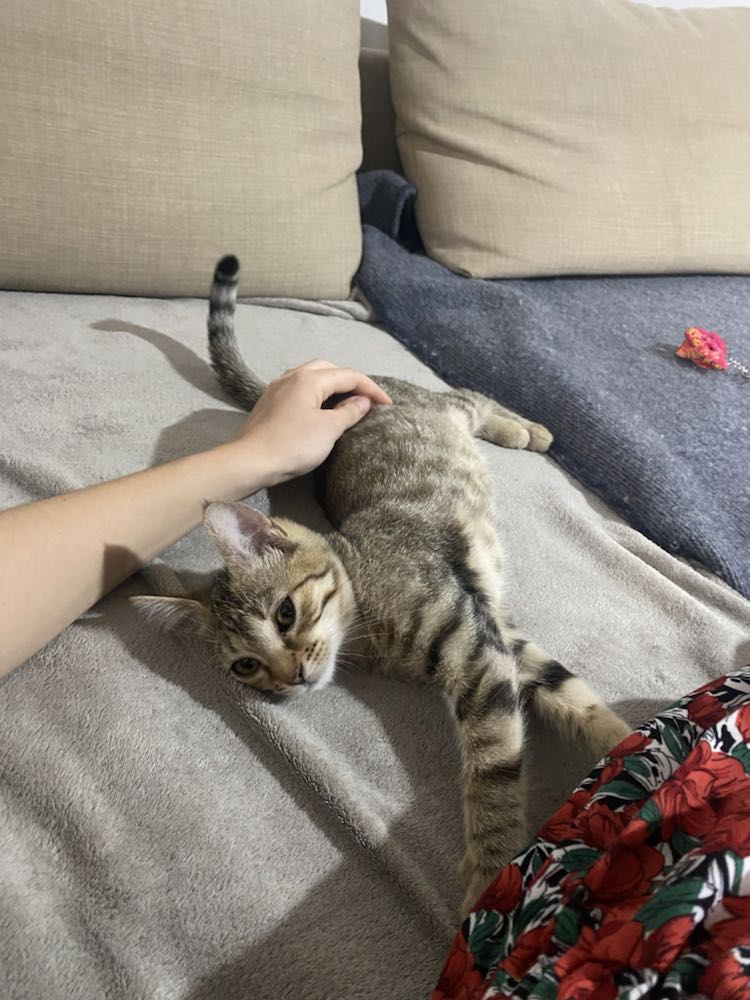 369433495_1011423849860935_4740445578260563373_n