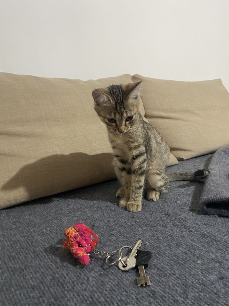 369536505_995099518300345_5066051740177054876_n