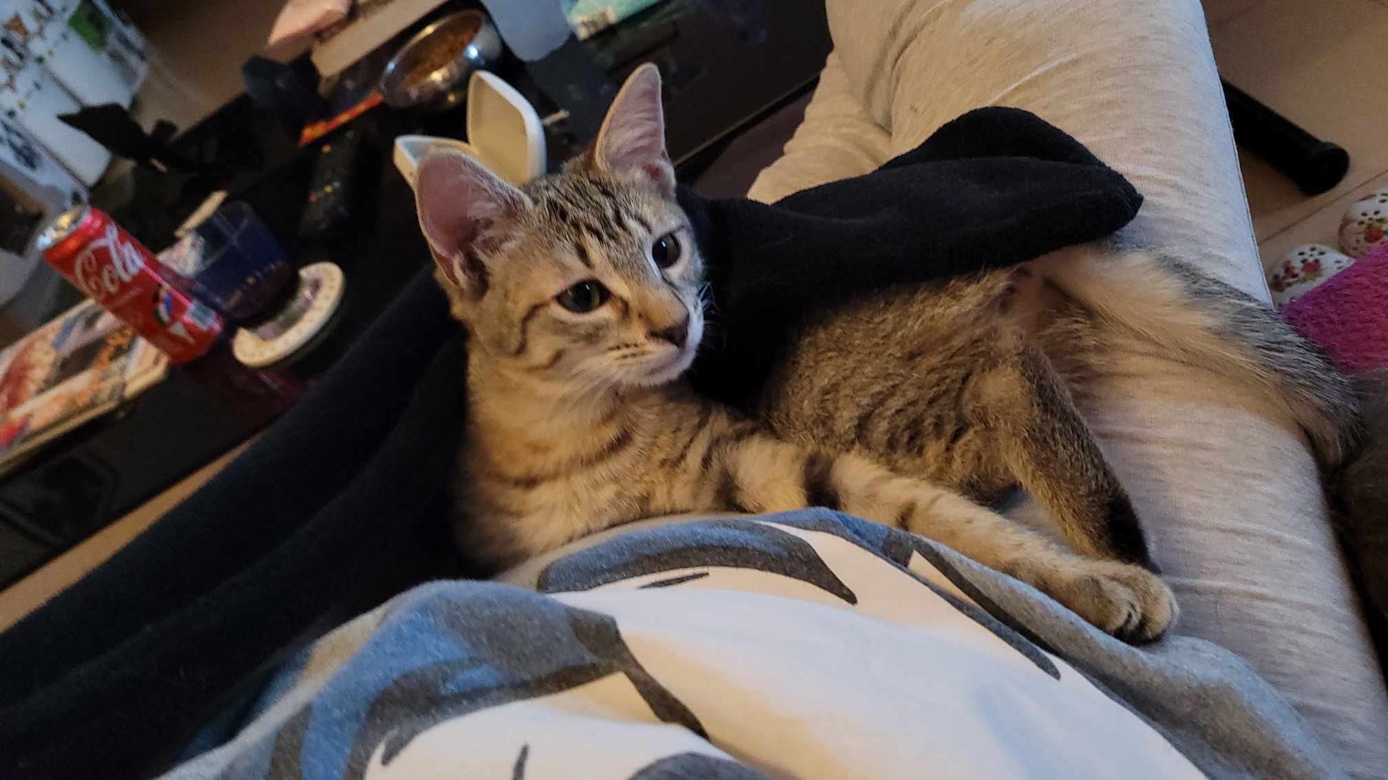 370058040_835749621660990_2259222996726095890_n-1