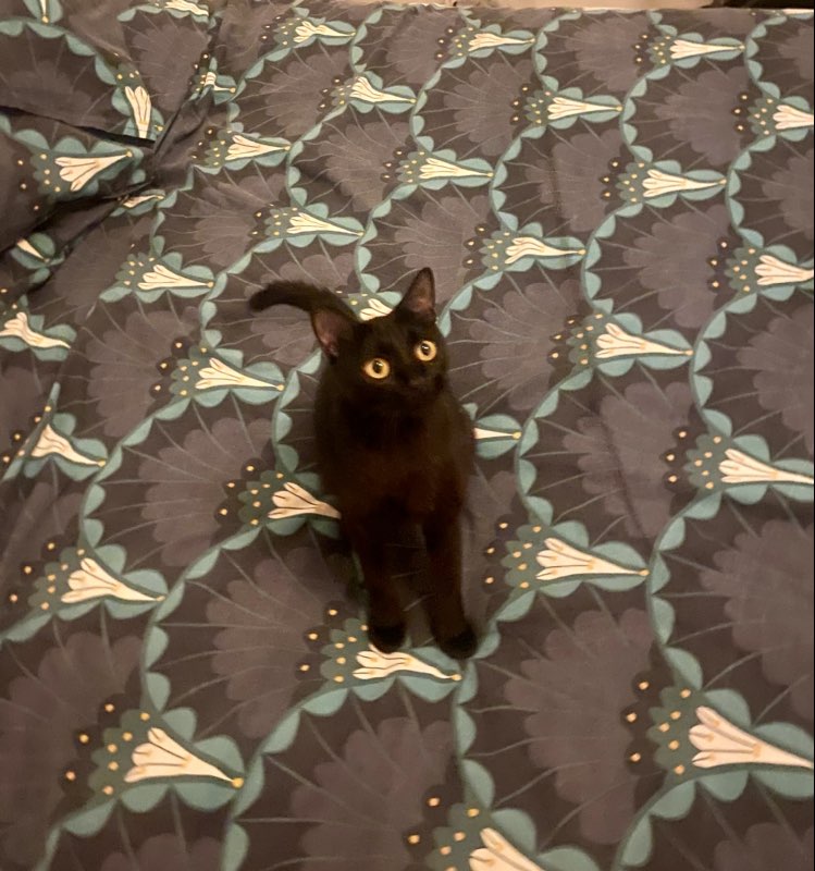 370254718_303552155722797_4120832589834040784_n