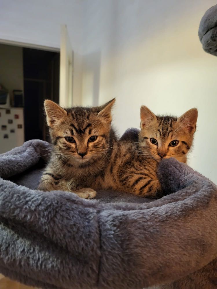 370300678_2002145593499678_7067622444705415715_n