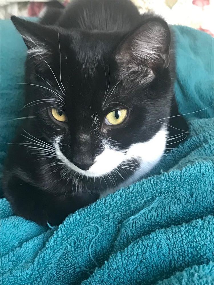 370304746_1047823899688013_6631864438312752938_n