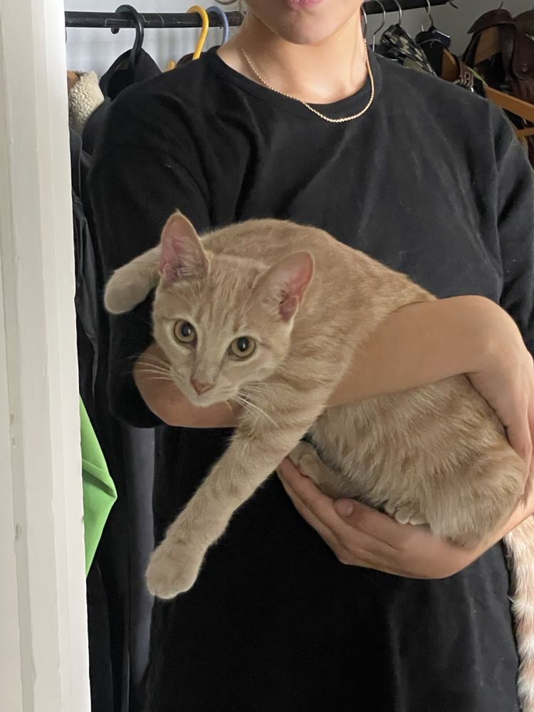 370310982_6010604975709690_6169025258829754971_n