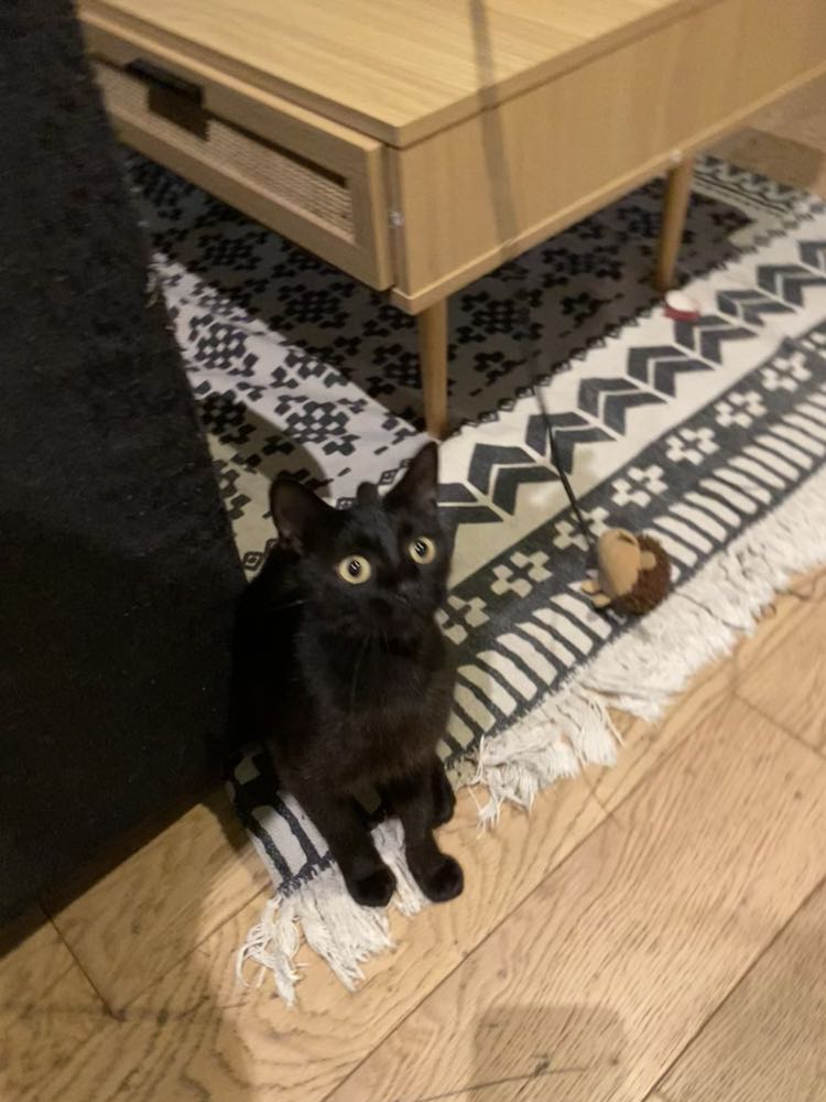 370312798_1745261772565957_264281314069177612_n