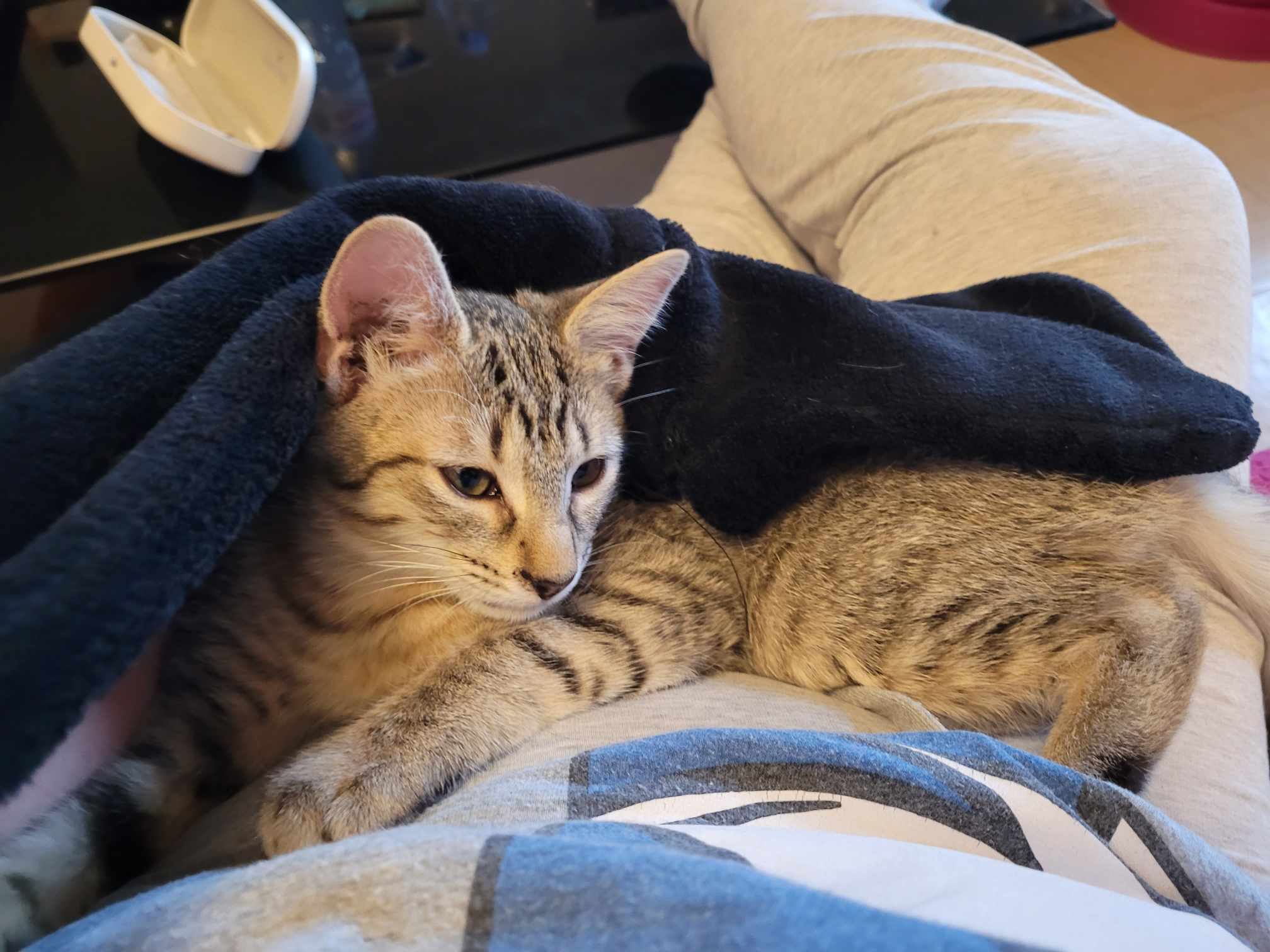 370325849_1031406798070507_9065375589219251781_n