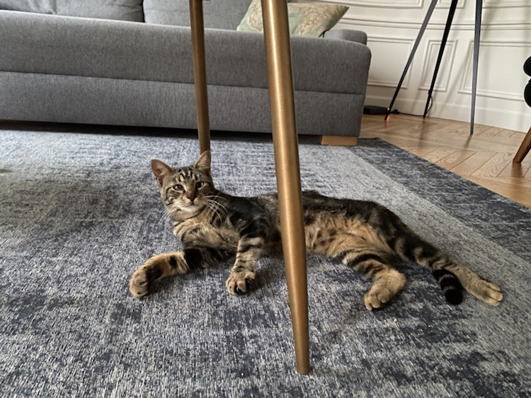 371059024_258427420352774_4768598489390411193_n