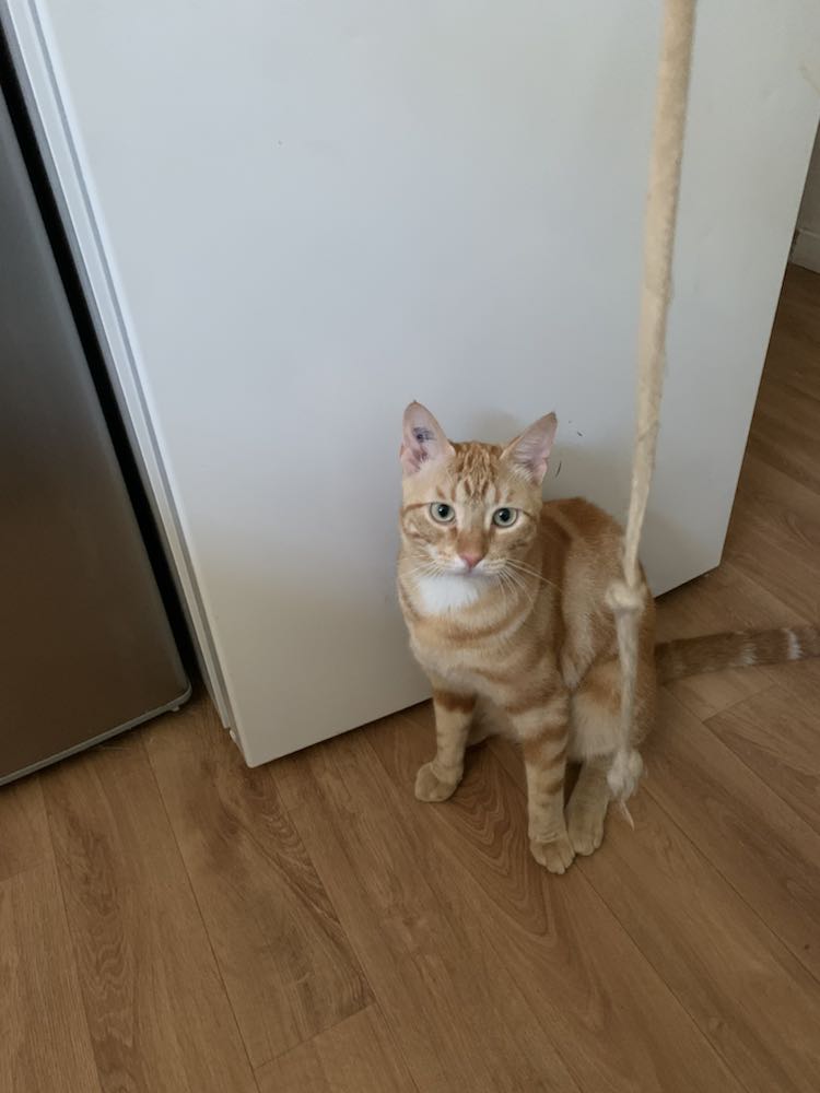 371071168_708510651101894_8648051222335529291_n