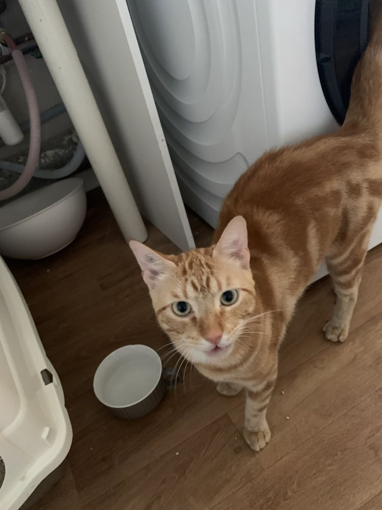 371080645_1334847530779910_5317886223845816750_n