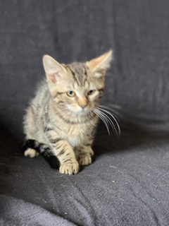 371450778_1386862385542461_4796010950863361771_n